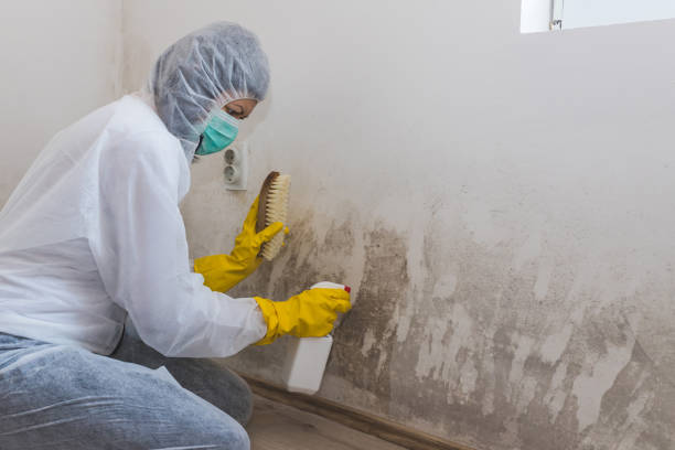 Best Asbestos and Lead Testing During Mold Inspection  in Ashland, NJ