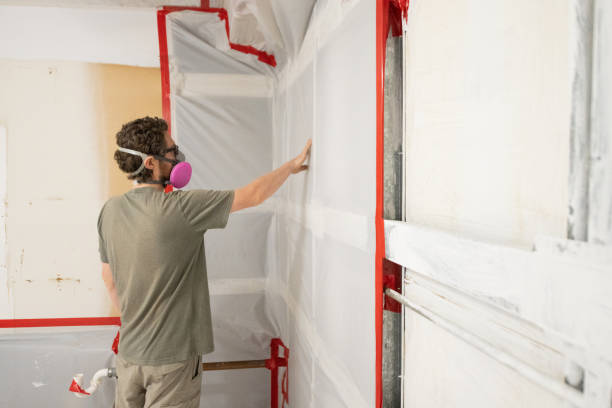 Best Industrial Mold Remediation  in Ashland, NJ