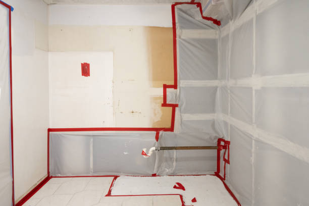  Ashland, NJ Mold Removal Pros