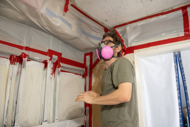 Professional Mold Removal in Ashland, NJ
