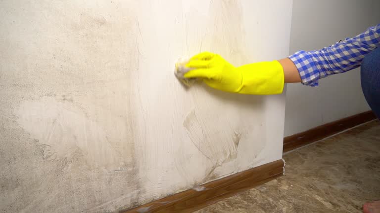 Best Mold Remediation for Healthcare Facilities  in Ashland, NJ