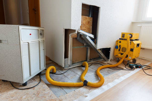 Best Air Quality Testing for Mold Spores  in Ashland, NJ