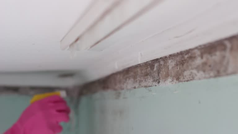 Best Airborne Mold Testing  in Ashland, NJ
